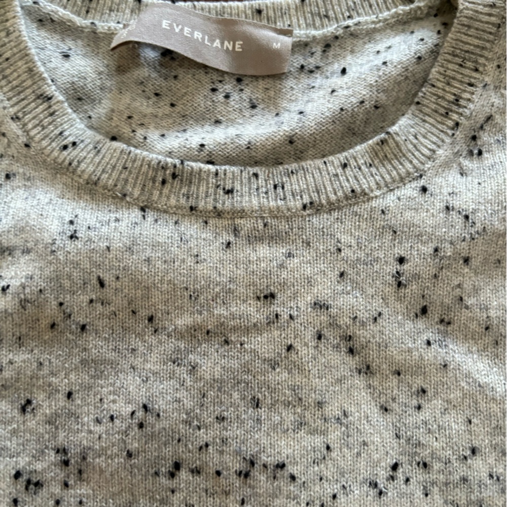 Everlane cashmere crew sweater